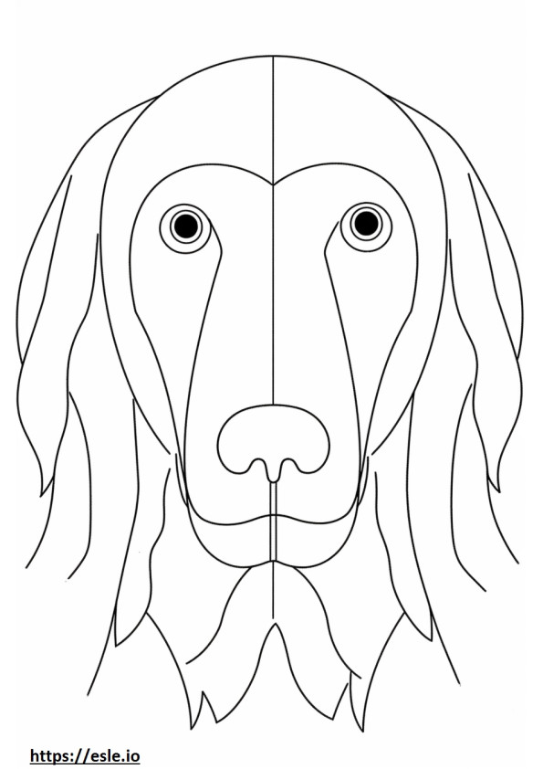 Cara de perro de aguas de Picardía azul para colorear e imprimir