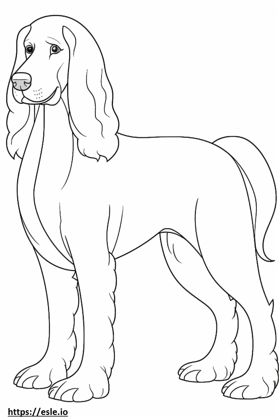 Blue Picardy Spaniel full body coloring page