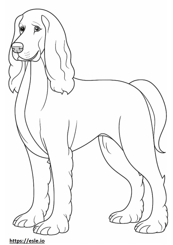 Blue Picardy Spaniel full body coloring page
