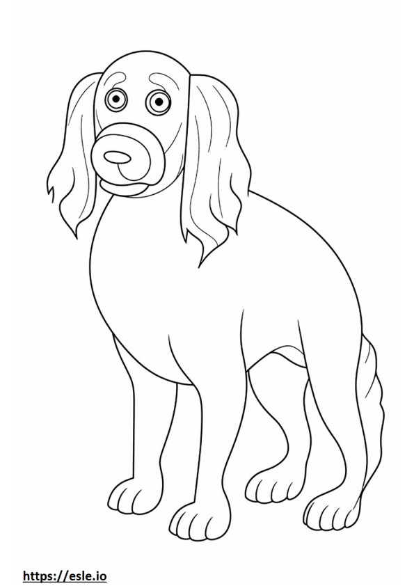 Blue Picardy Spaniel baby coloring page