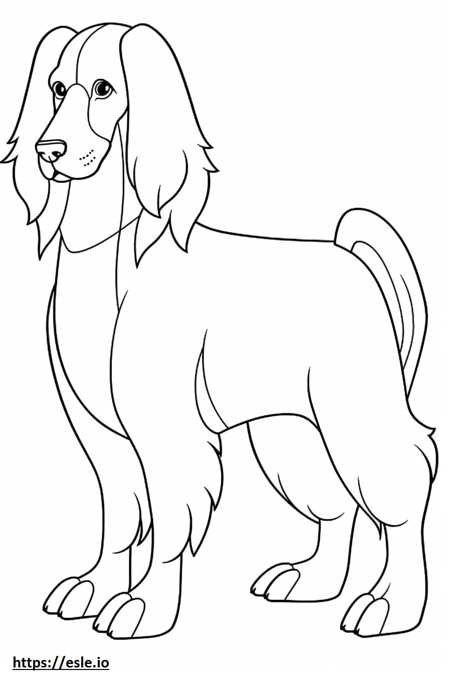 Blue Picardy Spaniel cartoon coloring page