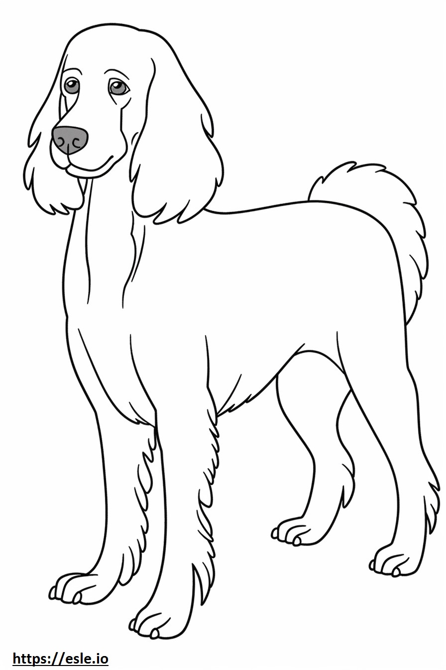 Blue Picardy Spaniel cute coloring page