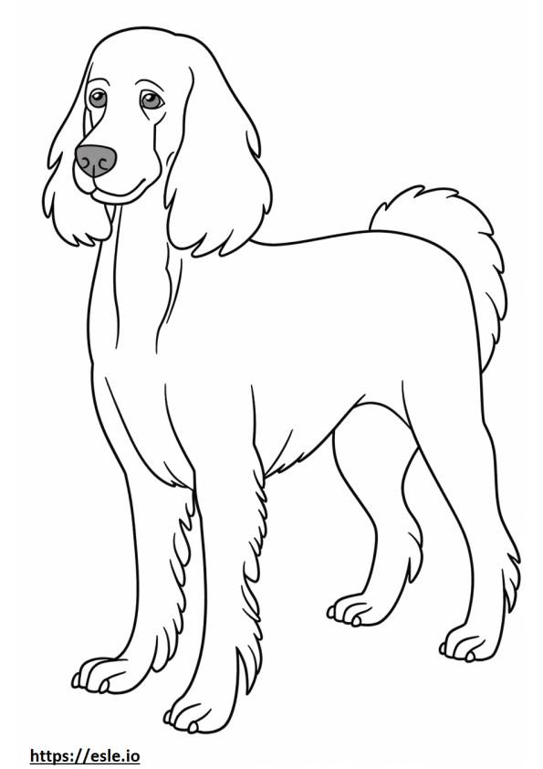 Blue Picardy Spaniel cute coloring page