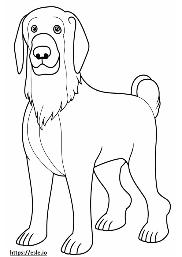 Blue Picardy Spaniel happy coloring page