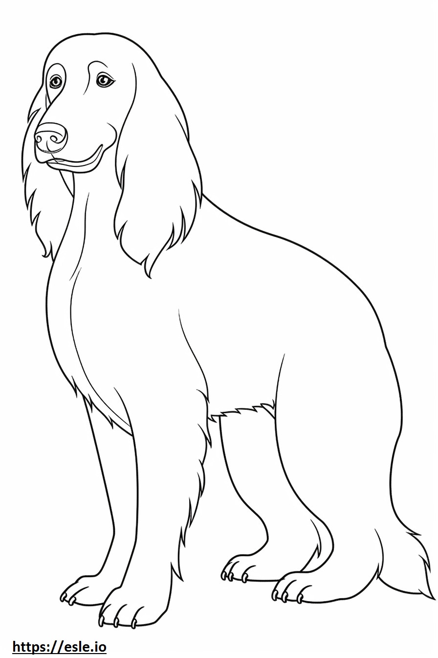 Blue Picardy Spaniel Playing coloring page