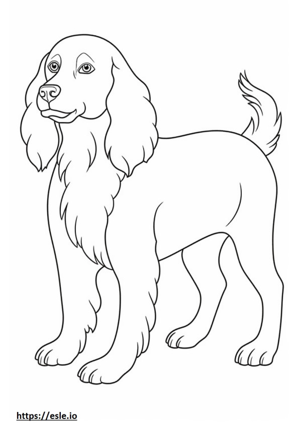 Blue Picardy Spaniel Playing coloring page