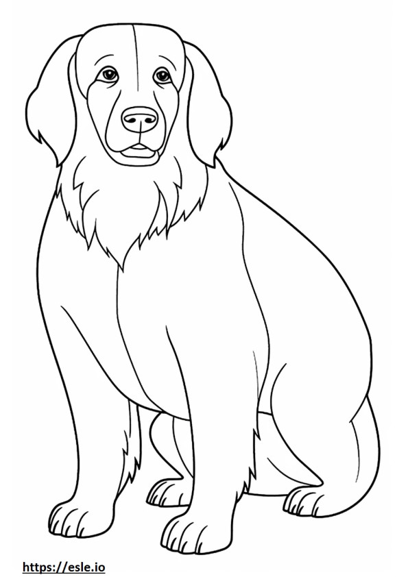 Blue Picardy Spaniel Friendly coloring page