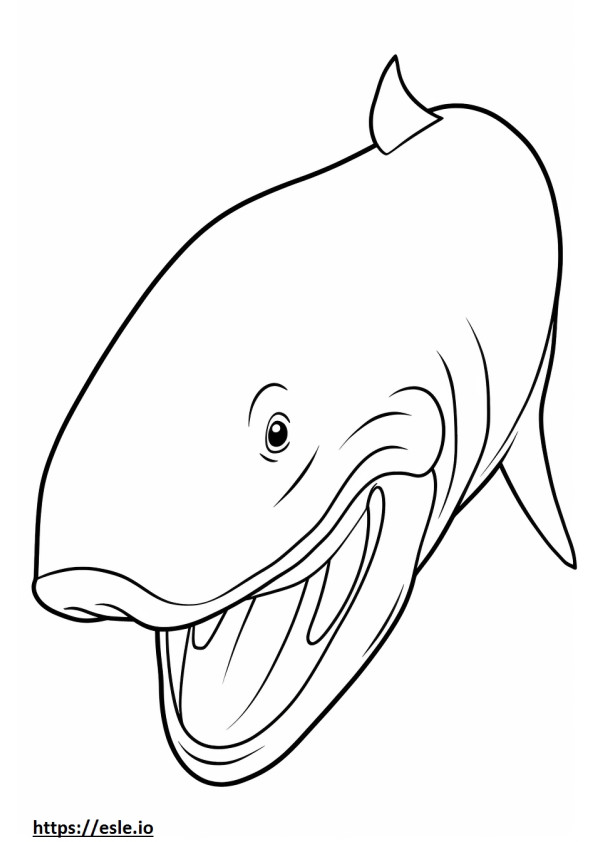 シロナガスクジラの顔 ぬりえ - 塗り絵