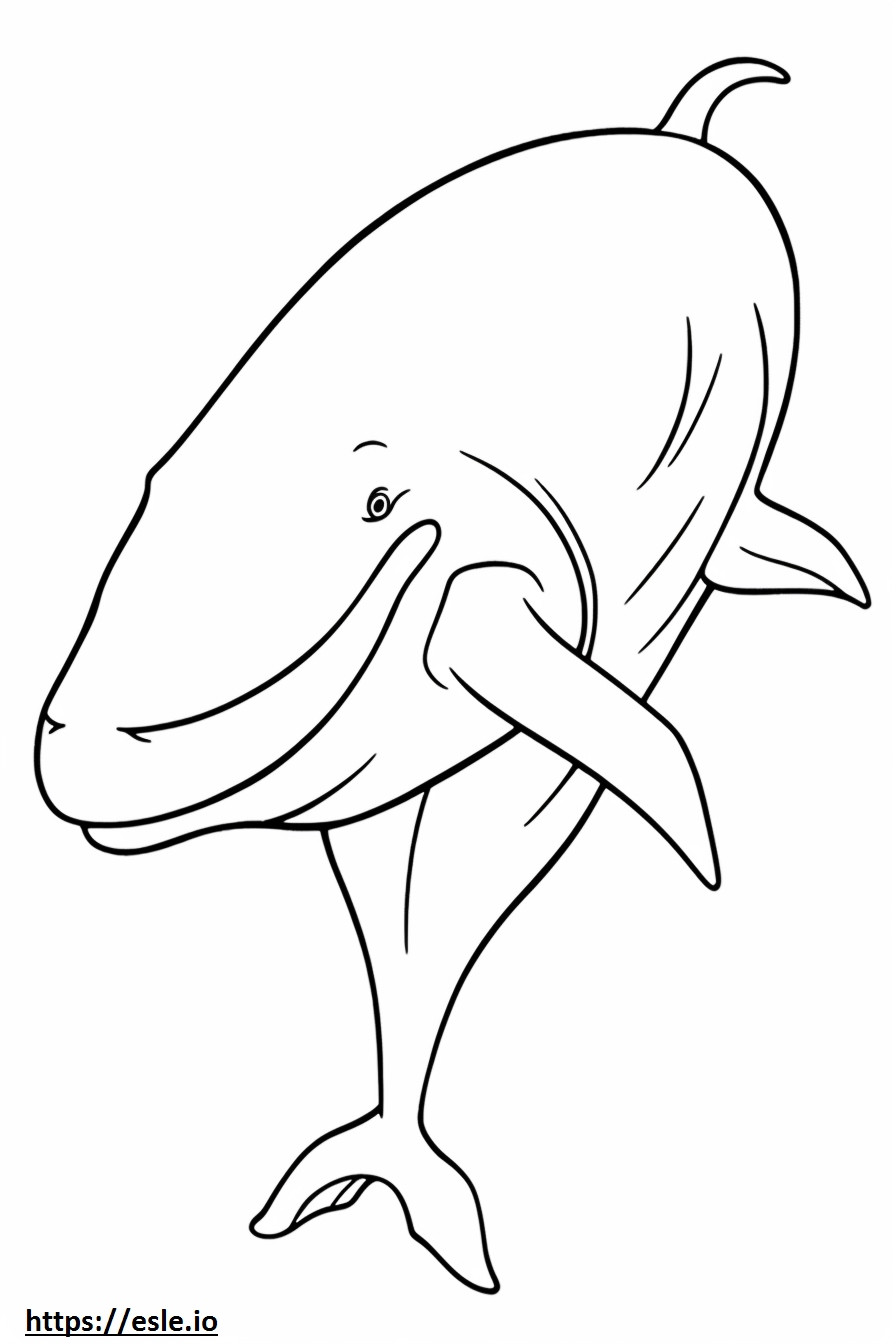 シロナガスクジラ 全身 ぬりえ - 塗り絵