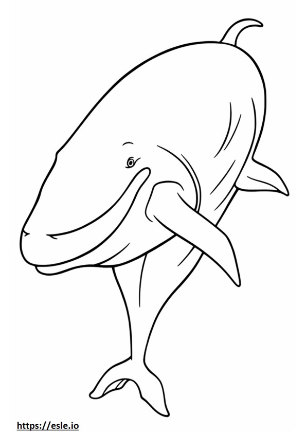 Blue Whale full body coloring page