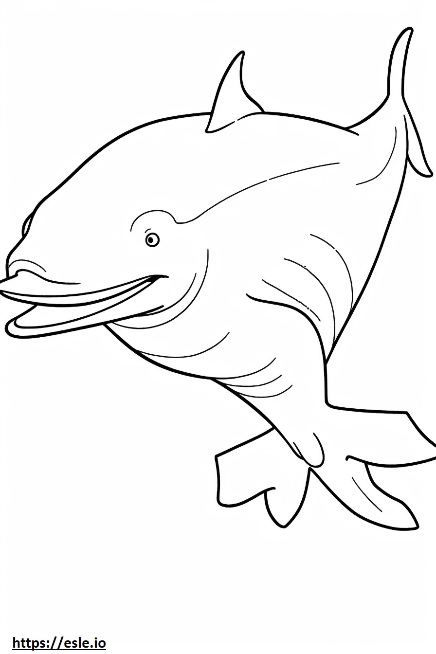 Balena blu a corpo intero da colorare