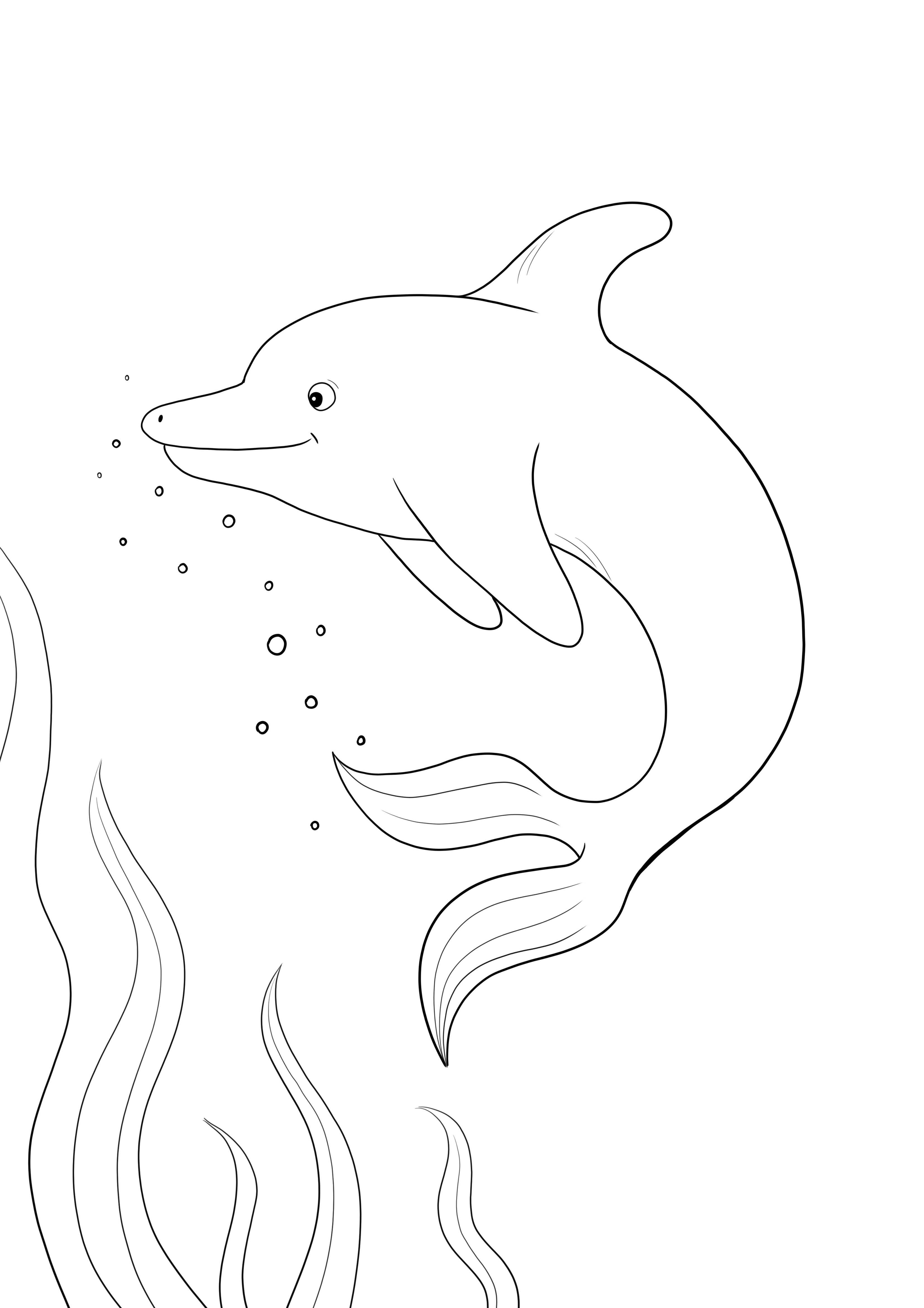 Söpö delfiini kuvan värittämiseen ja ilmaiseen tulostukseen