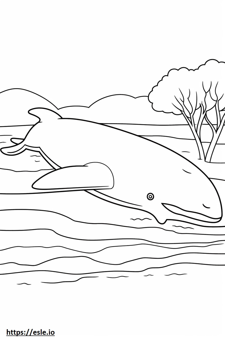 Balena Albastră Dormită de colorat