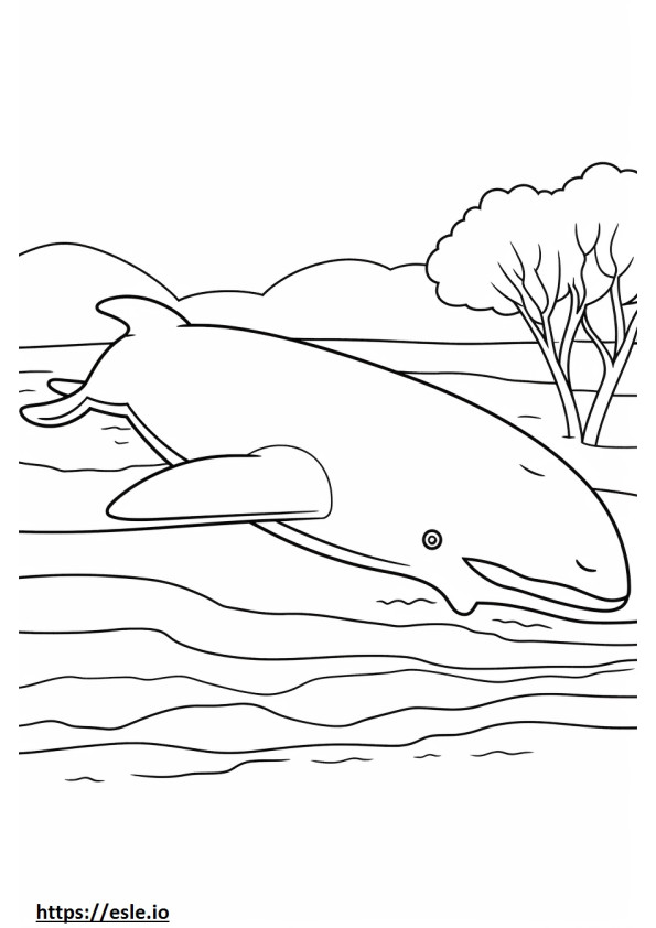 眠るシロナガスクジラ ぬりえ - 塗り絵