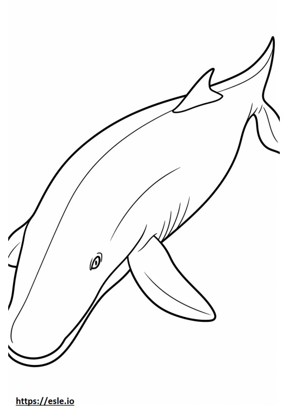 眠るシロナガスクジラ ぬりえ - 塗り絵
