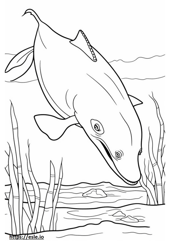 シロナガスクジラの遊び ぬりえ - 塗り絵