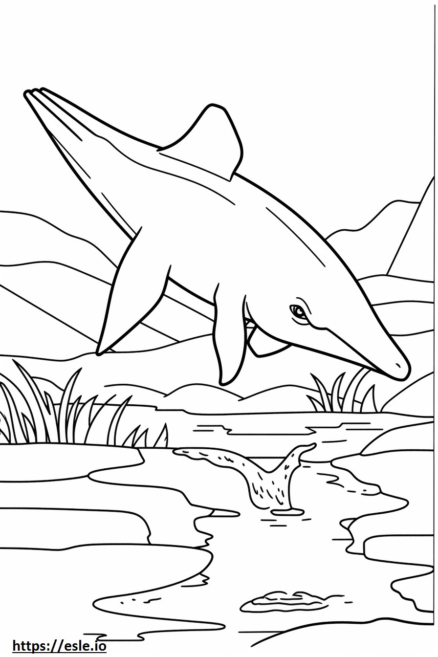 Blue Whale Playing coloring page