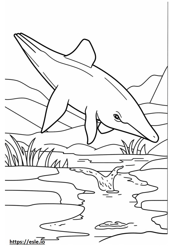 シロナガスクジラの遊び ぬりえ - 塗り絵