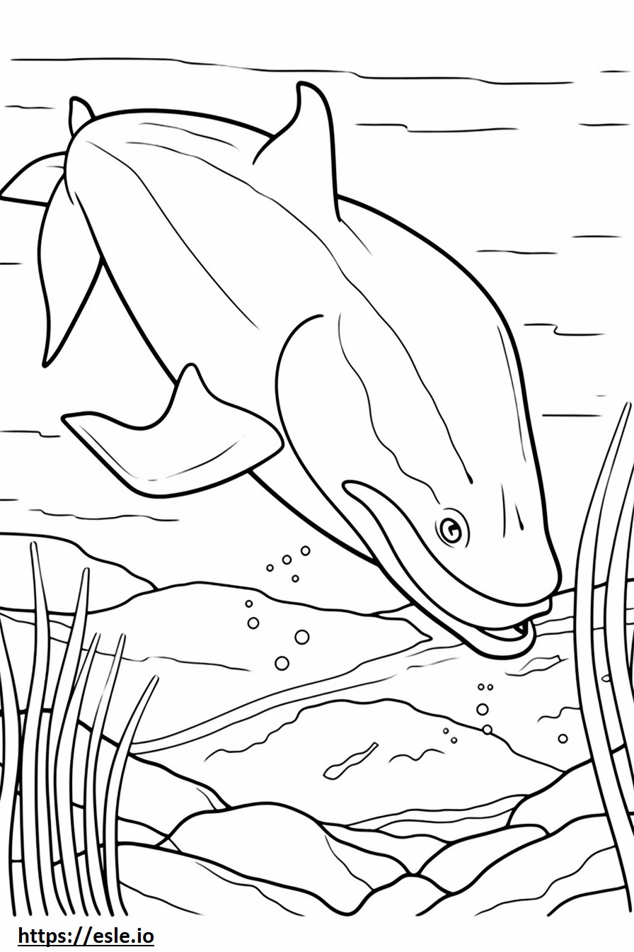 Blue Whale Friendly coloring page