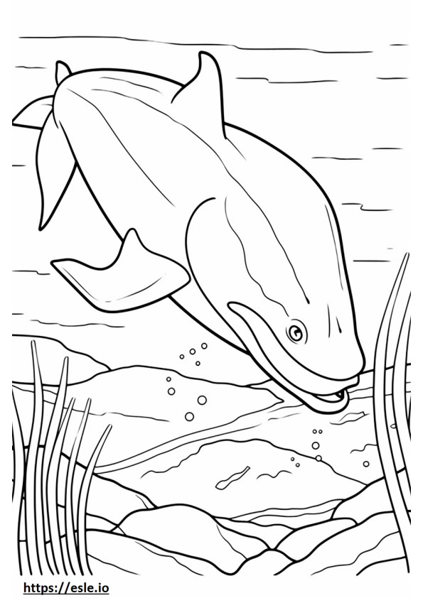 シロナガスクジラに優しい ぬりえ - 塗り絵