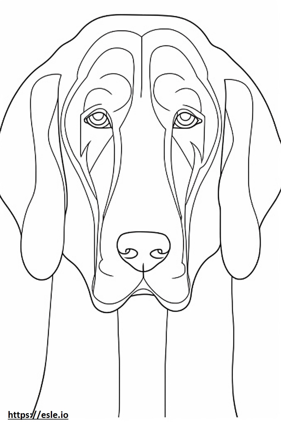 Bluetick Coonhound-gezicht kleurplaat kleurplaat