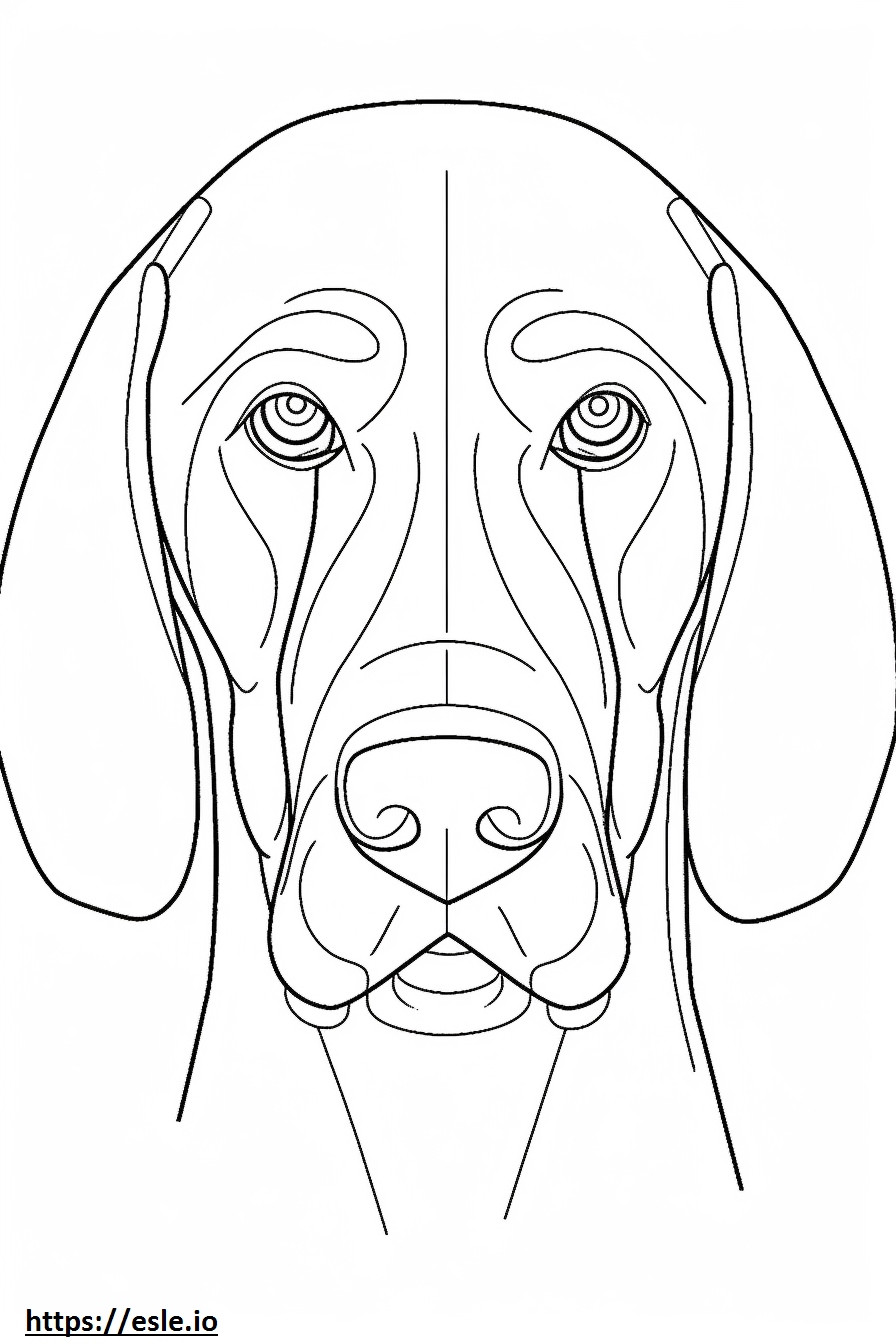 Bluetick Coonhound-Gesicht ausmalbild