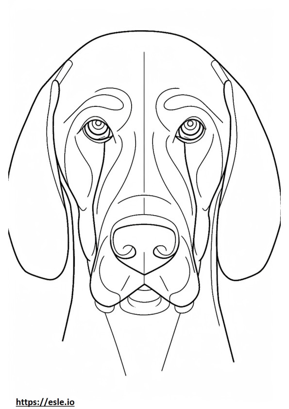 Cara de Bluetick Coonhound para colorir