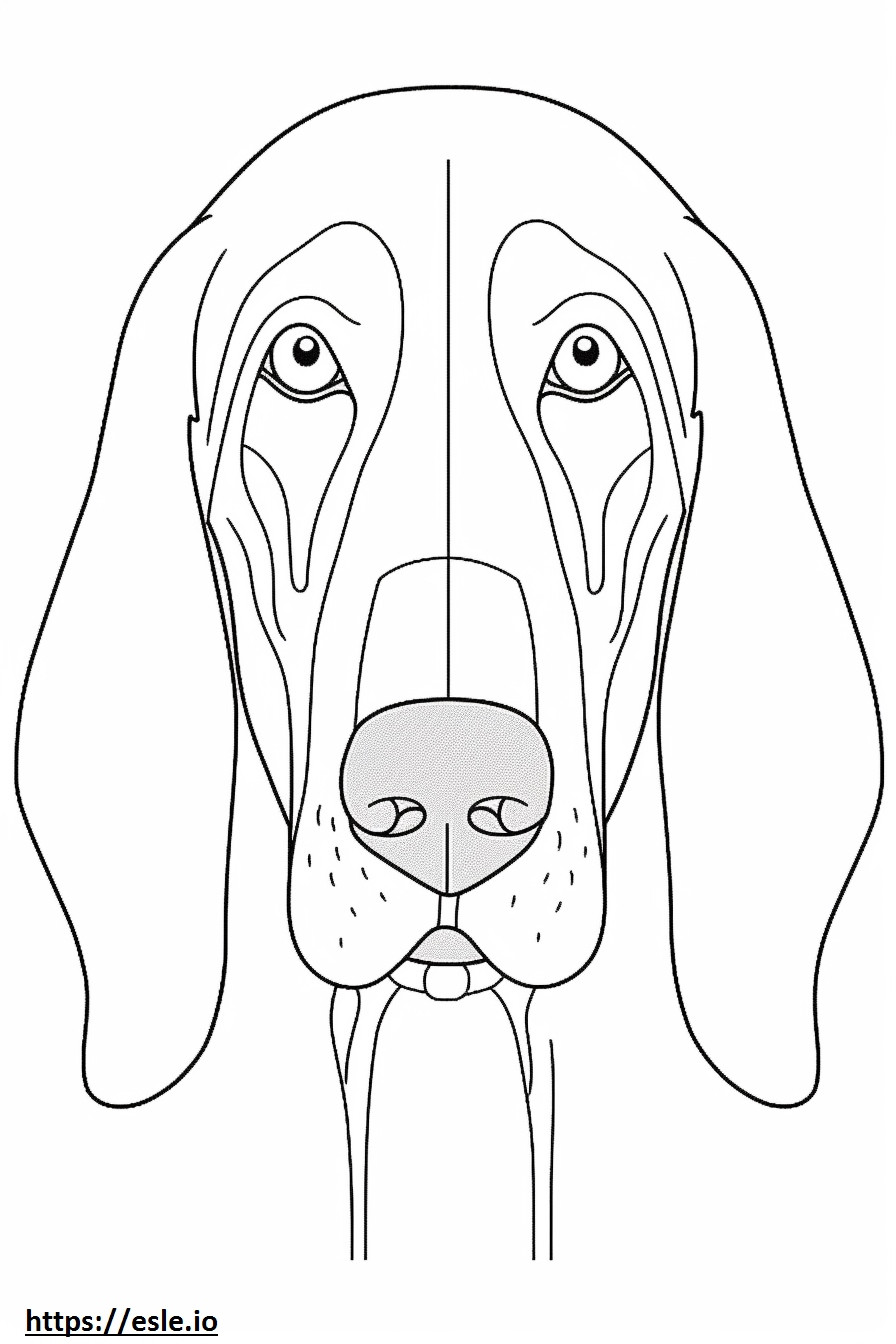 Fața de Bluetick Coonhound de colorat