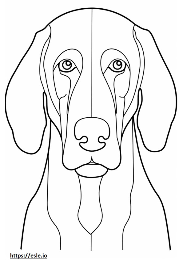 Cara de Bluetick Coonhound para colorir