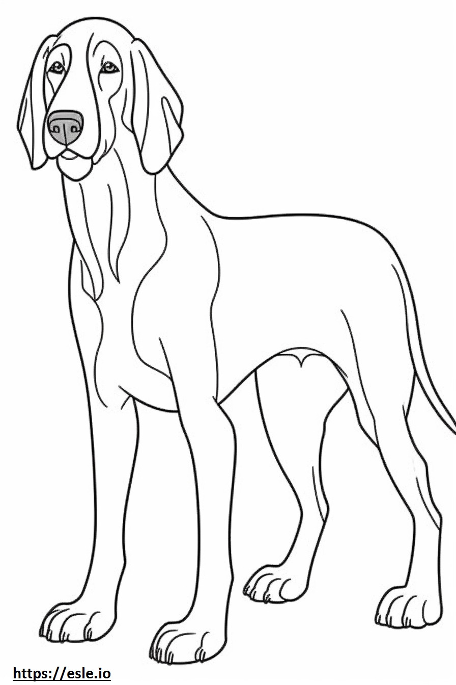 Cucciolo di Bluetick Coonhound da colorare
