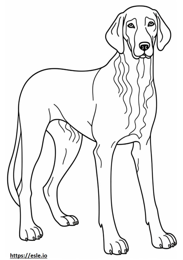 Bebeluș Bluetick Coonhound de colorat
