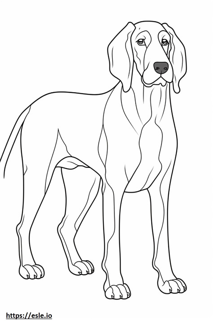 Bluetick Coonhound baby coloring page