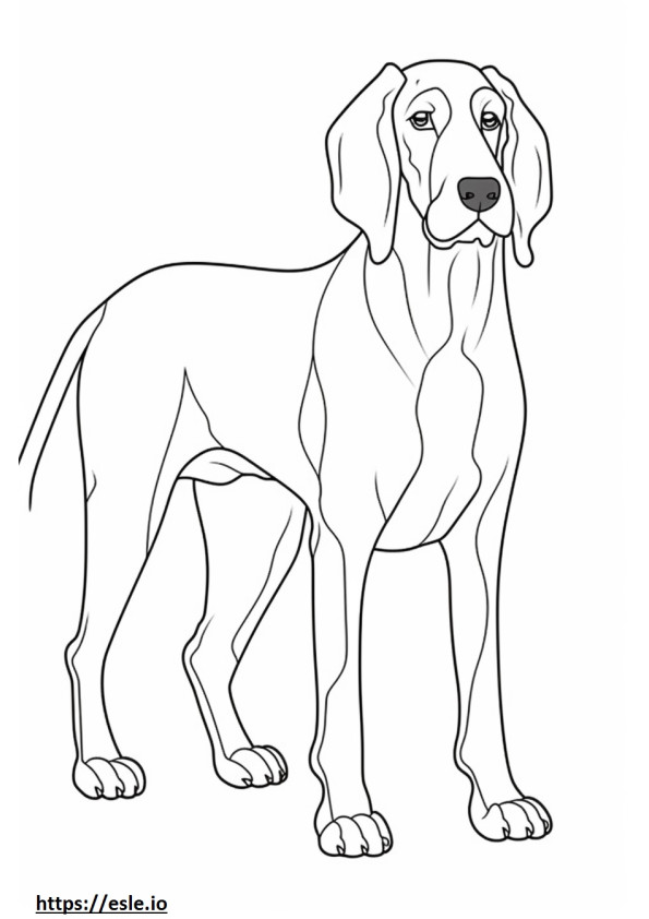 Bluetick Coonhound baby coloring page