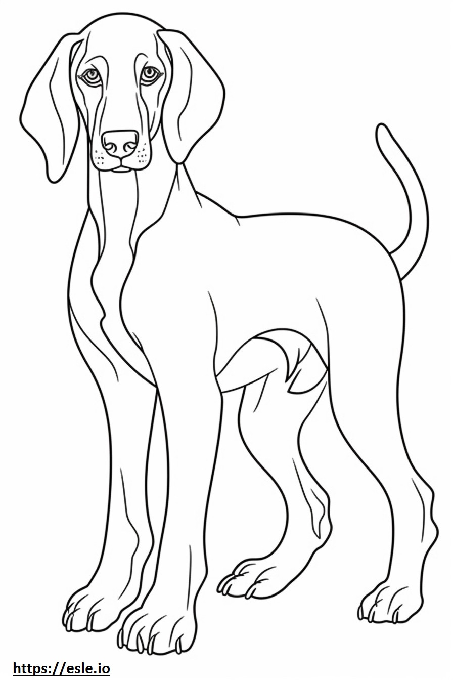 Bebé Coonhound Bluetick para colorear e imprimir