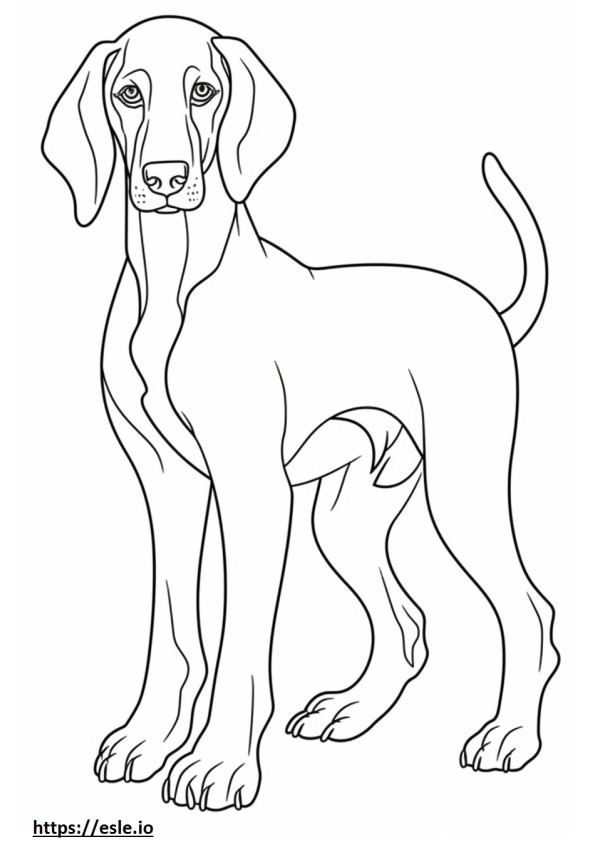 Bebeluș Bluetick Coonhound de colorat