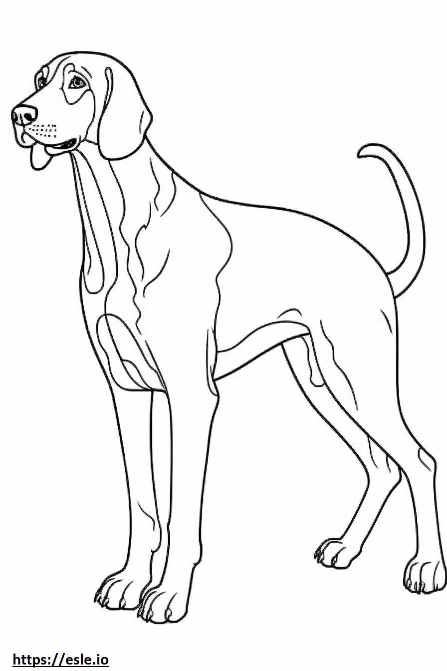 Bluetick Coonhound süß ausmalbild