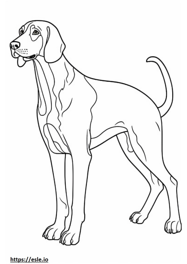 Bluetick Coonhound schattig kleurplaat