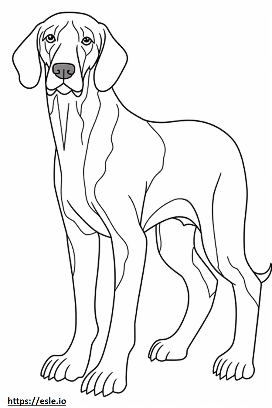 Coonhound lindo para colorear e imprimir