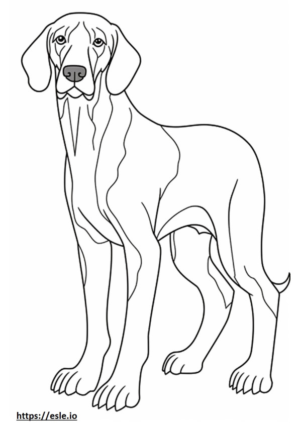Bluetick Coonhound söpö värityskuva