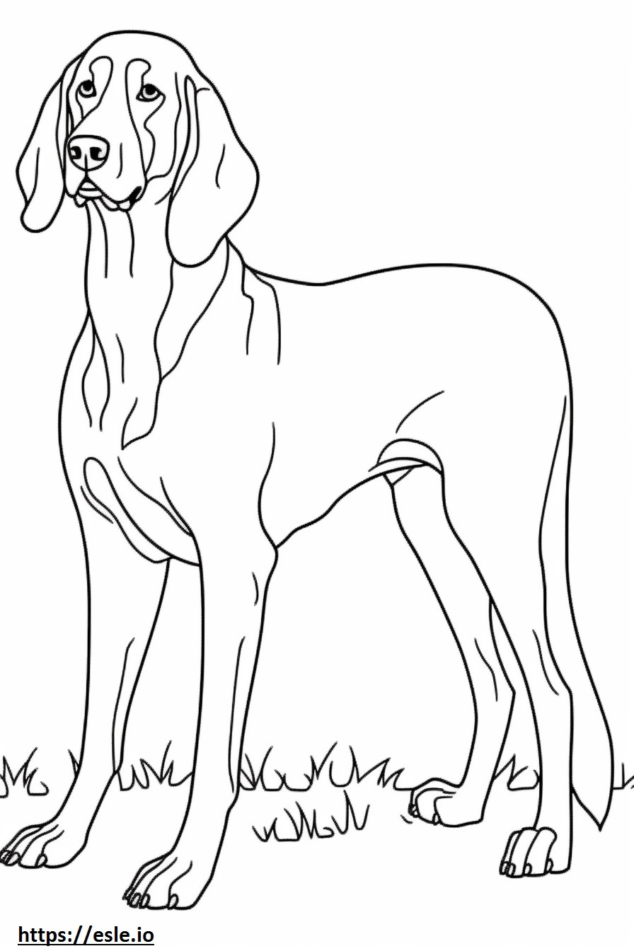 Bluetick Coonhound onnellinen värityskuva