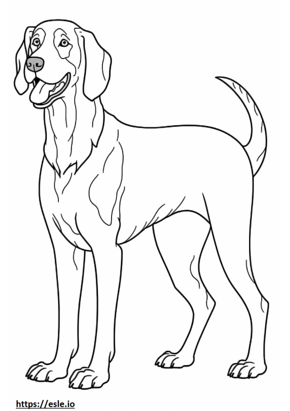 Bluetick Coonhound feliz para colorir