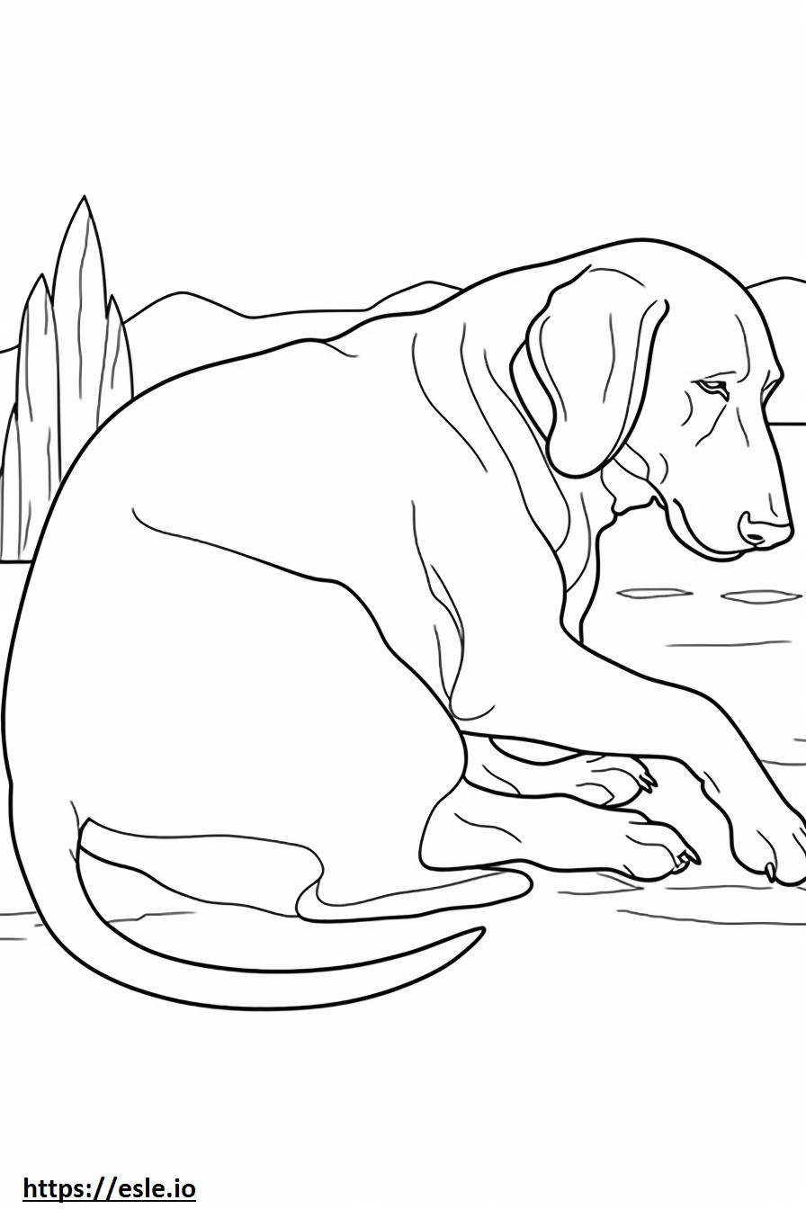 Bluetick Coonhound slaapt kleurplaat kleurplaat