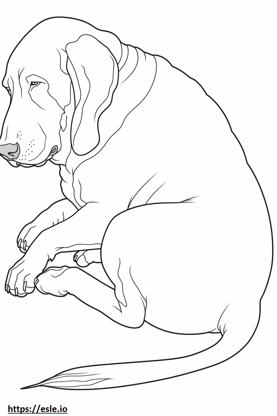 Bluetick Coonhound slaapt kleurplaat kleurplaat