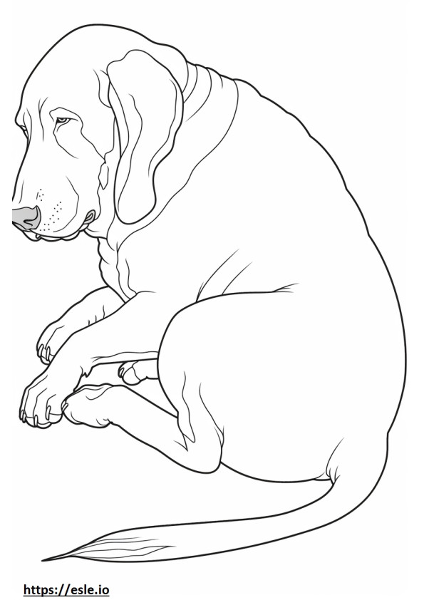 Bluetick Coonhound durmiendo para colorear e imprimir