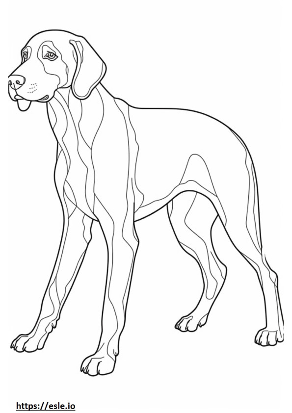 Bluetick Coonhound jugando para colorear e imprimir
