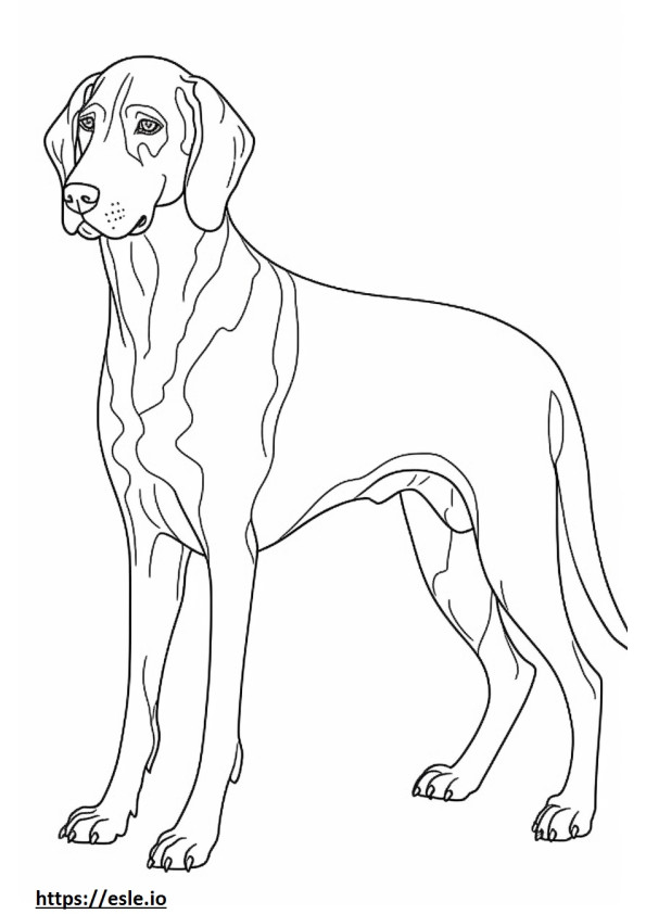 Bluetick Coonhound amichevole da colorare