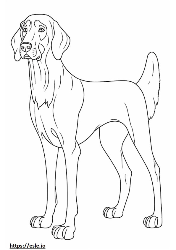 Coloriage Bluetick Coonhound amical à imprimer
