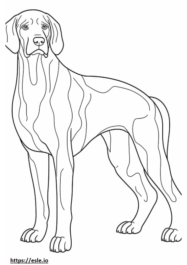 Bluetick Coonhound amichevole da colorare