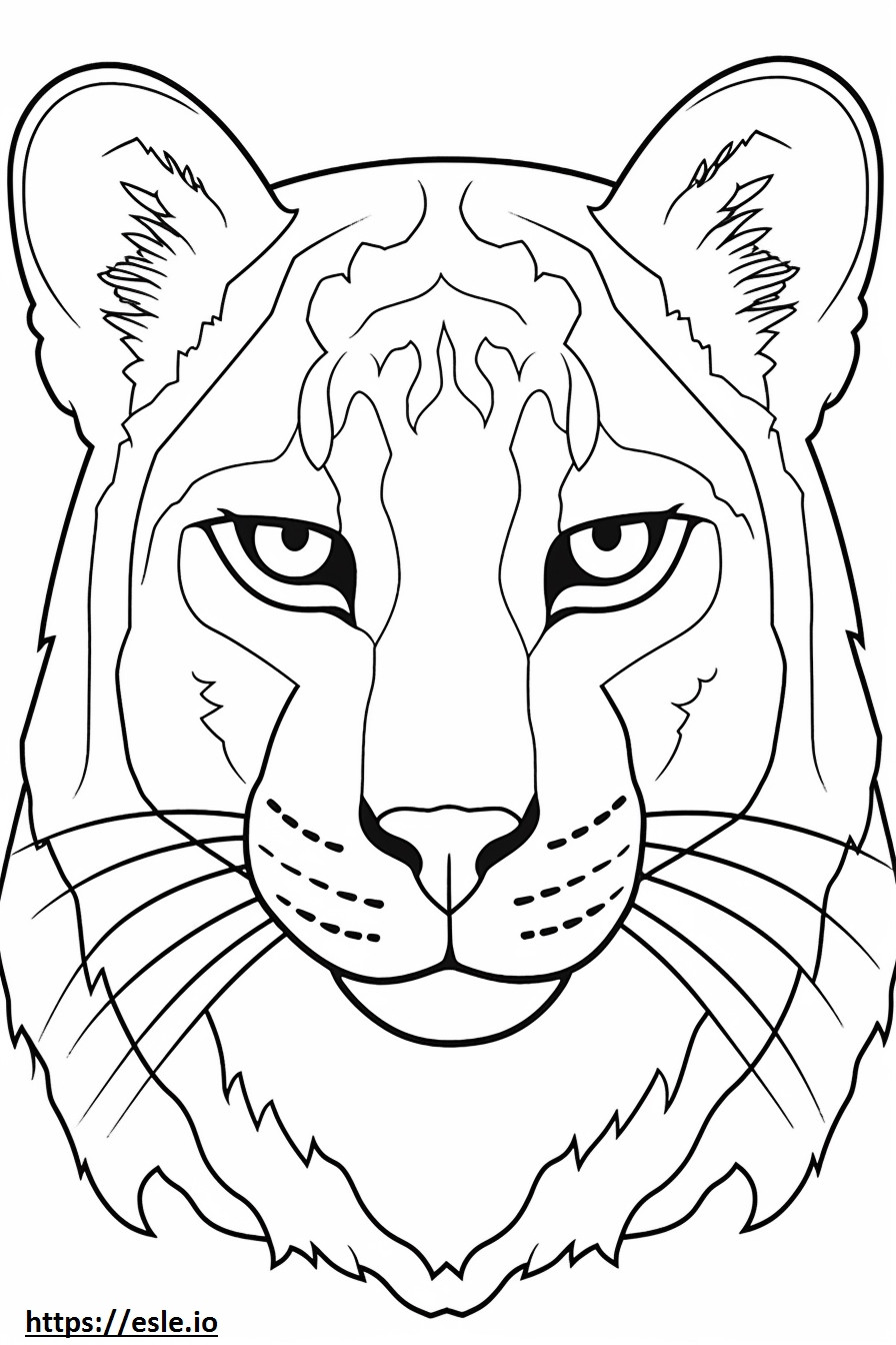 Bobcat-gezicht kleurplaat kleurplaat