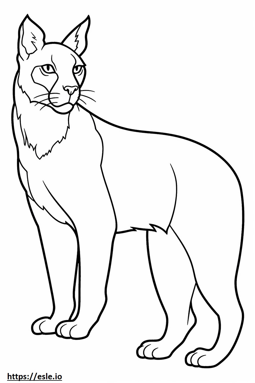 Bobcat koko vartalo värityskuva